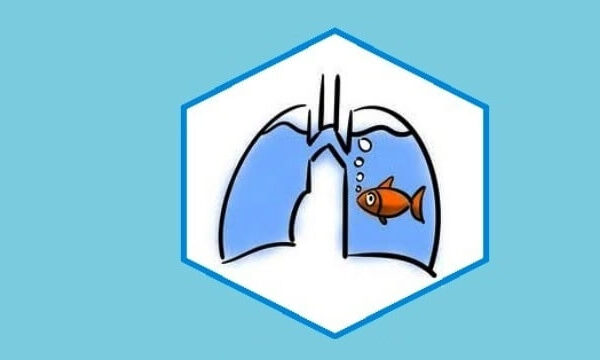 a live fish was taken out of the boy's lungs by doctors