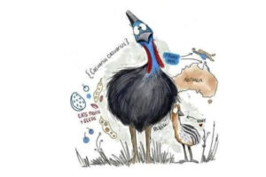 what is the most dangerous bird in the world