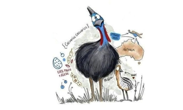 what is the most dangerous bird in the world