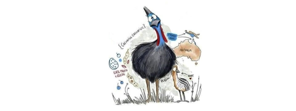 what is the most dangerous bird in the world