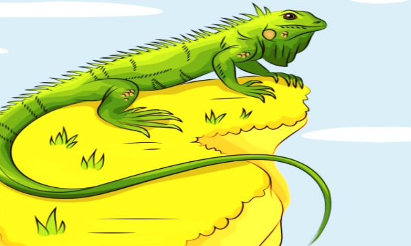 which lizard was found in the new world